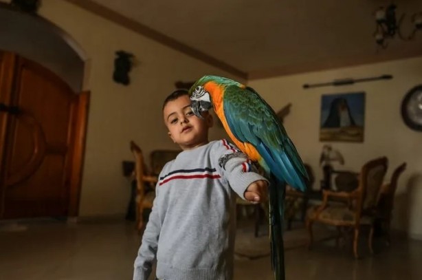 Foto - Ev değil hayvanat bahçesi! Her türden canlı var