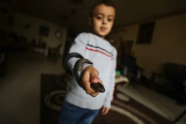 Foto - Ev değil hayvanat bahçesi! Her türden canlı var