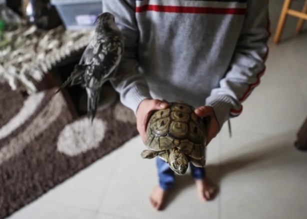 Foto - Ev değil hayvanat bahçesi! Her türden canlı var