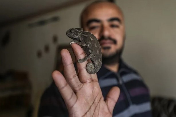 Foto - Ev değil hayvanat bahçesi! Her türden canlı var