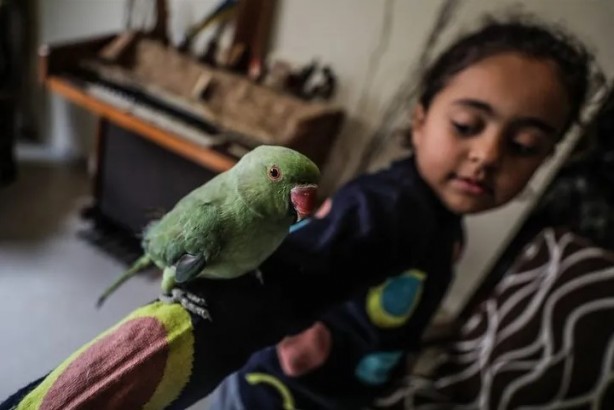 Foto - Ev değil hayvanat bahçesi! Her türden canlı var