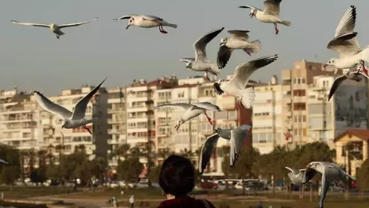 Foto - Ev fiyatlarını fiyatlarını sarsacak haber! Resmen duyurdular: İşte bu haber beklenmiyordu!