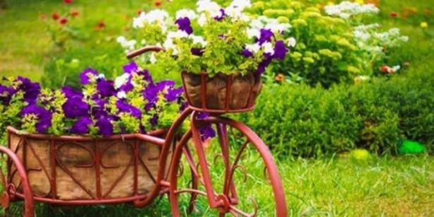 Foto - Ev işlerinin püf noktaları