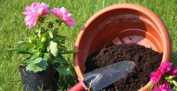 Foto - Ev işlerinin püf noktaları