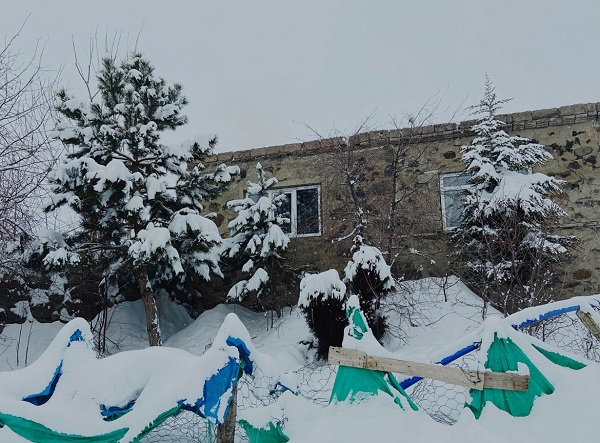 Foto - Evler kar altında kayboldu