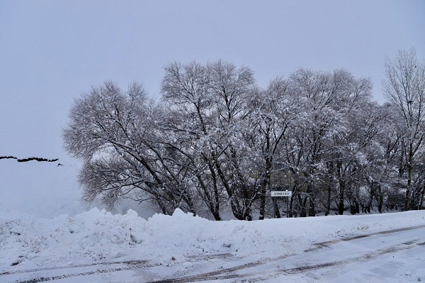 Foto - Evler kar altında kayboldu