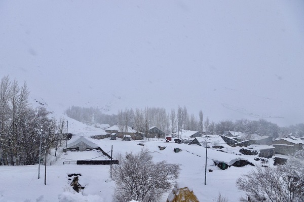 Foto - Evler kar altında kayboldu