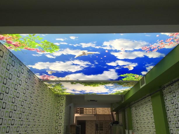 Foto - Ev ve işyeriniz için en güzel gergi tavan örnekleri