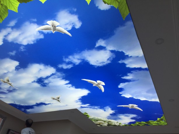 Foto - Ev ve işyeriniz için en güzel gergi tavan örnekleri