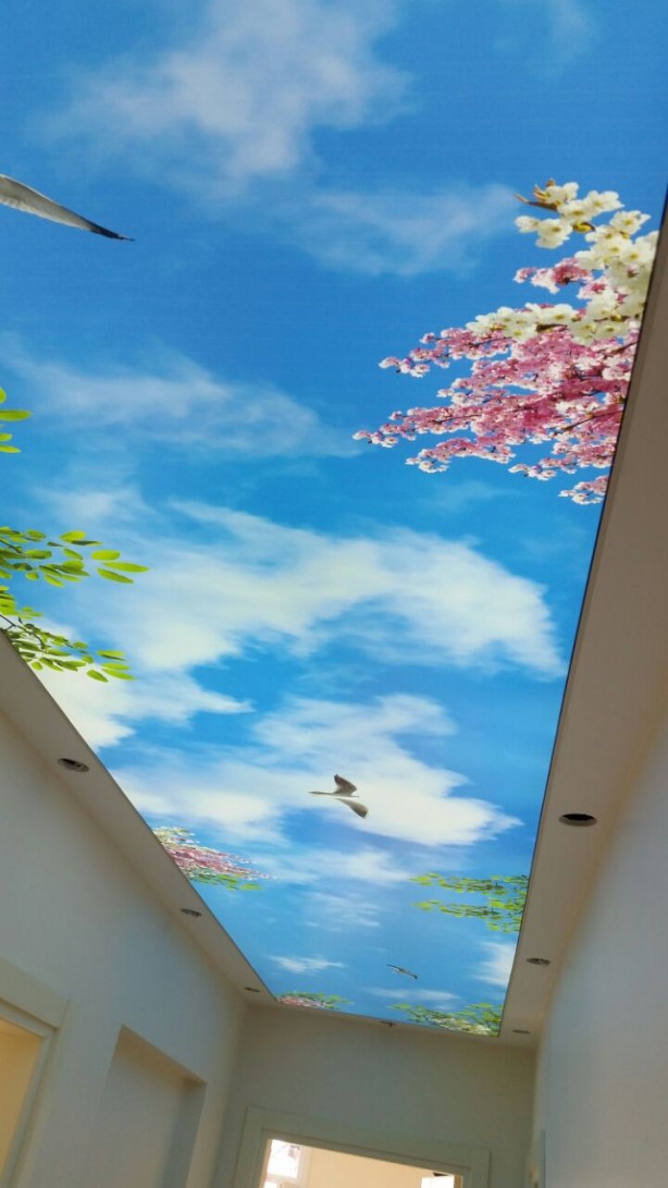 Foto - Ev ve işyeriniz için en güzel gergi tavan örnekleri