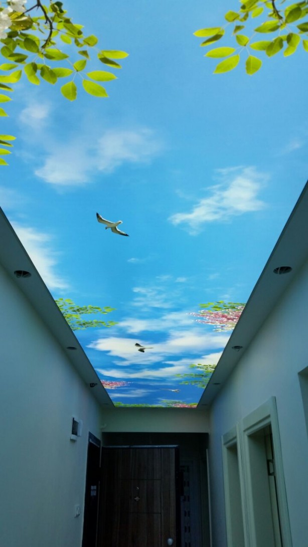 Foto - Ev ve işyeriniz için en güzel gergi tavan örnekleri