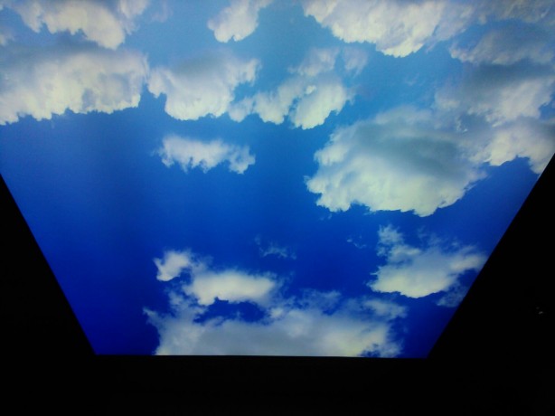 Foto - Ev ve işyeriniz için en güzel gergi tavan örnekleri