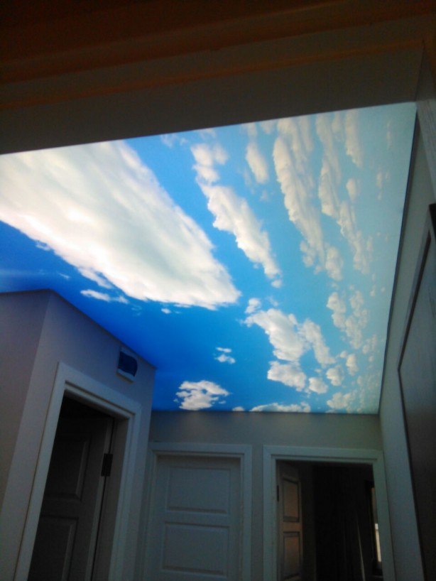 Foto - Ev ve işyeriniz için en güzel gergi tavan örnekleri