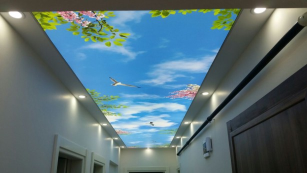 Foto - Ev ve işyeriniz için en güzel gergi tavan örnekleri