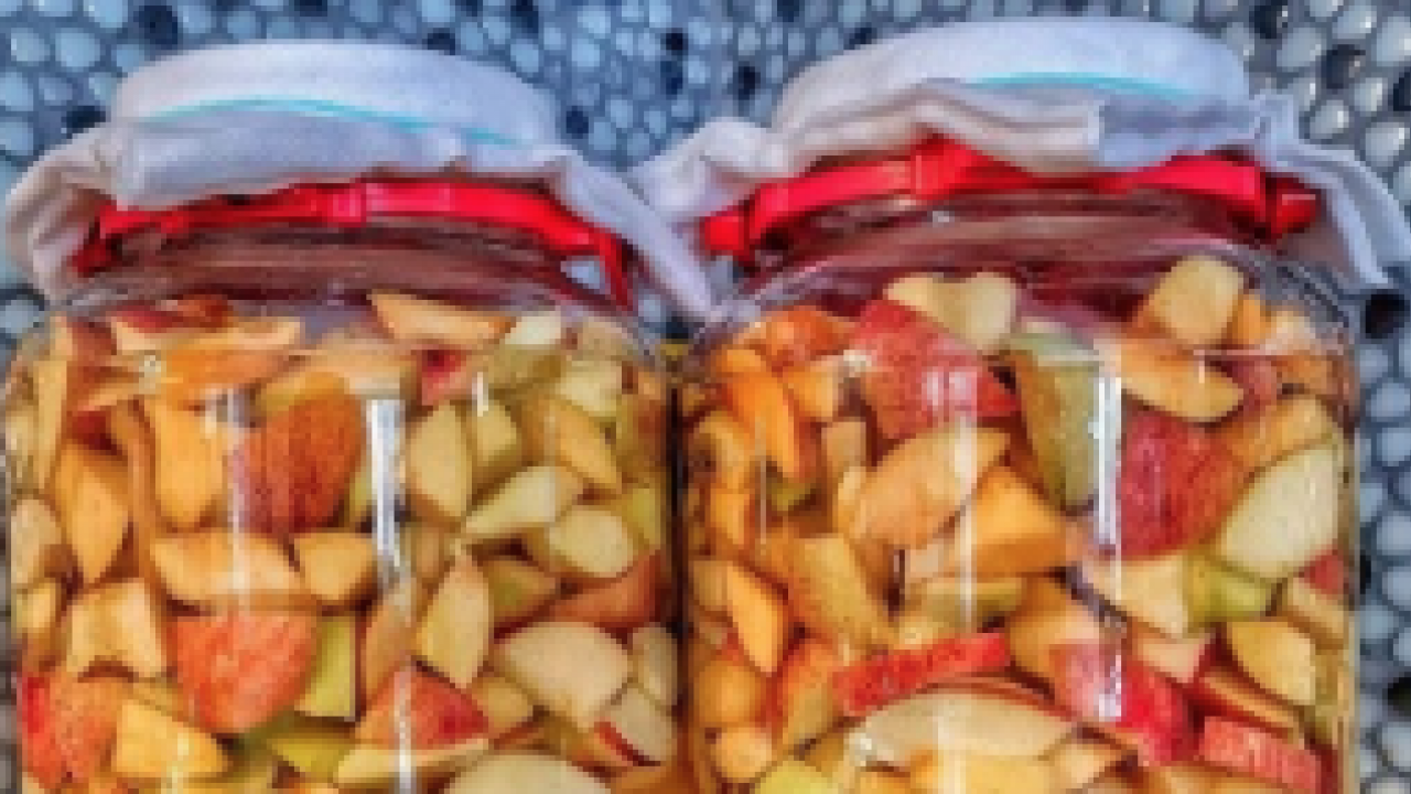 Ev yapımı elma sirkesi tarifi Feridun Kunak'tan: kilo kilo alıp boşuna fazla para vermeyin! Organik meyve tedarik edin