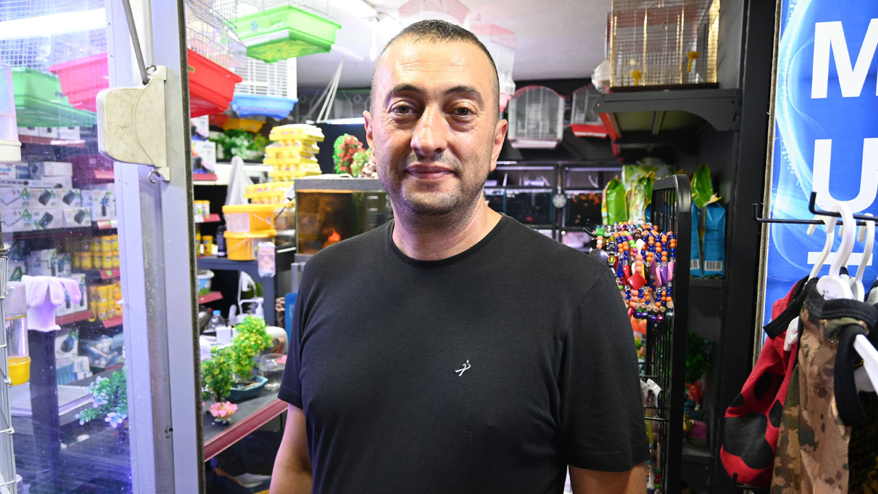 Foto - Evcil hayvanı olanlar dikkat! Serinlemek isterken can veriyorlar