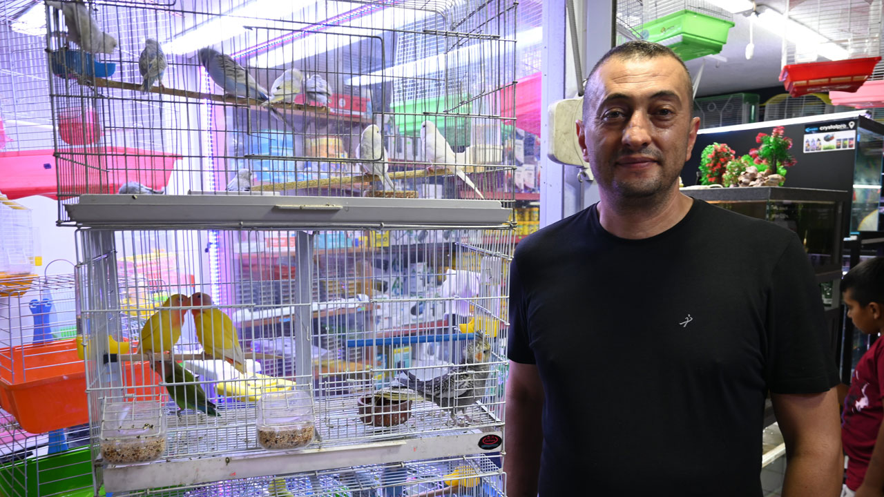 Foto - Evcil hayvanı olanlar dikkat! Serinlemek isterken can veriyorlar