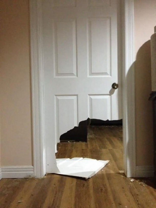 Foto - Evcil hayvanların gülümseten yaramazlıkları