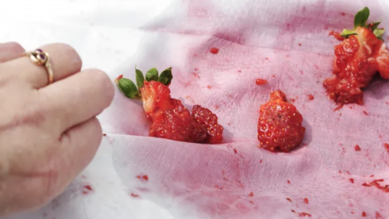 Evde 5 basit adımda lekelere veda... Damlayan meyve lekeleri kabus olmasın!