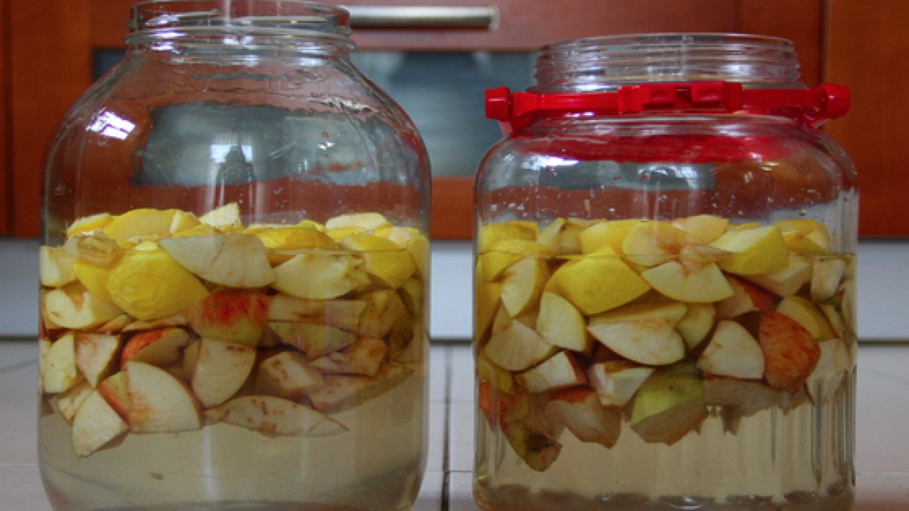 Foto - Evde doğal elma sirkesi yapımı için suyuna katıp kışa hazırlık yapın: Dikkat çekici değişime hazır olun! 