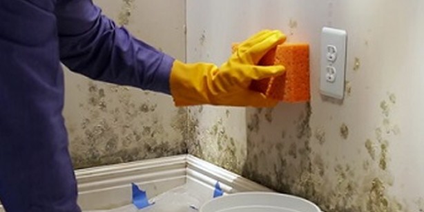 Foto - Evde, duvarlarda küf oluşması nasıl önlenir? Kış aylarında tavanlarda oluşan küf: Hayat kurtaran 3 yöntemler