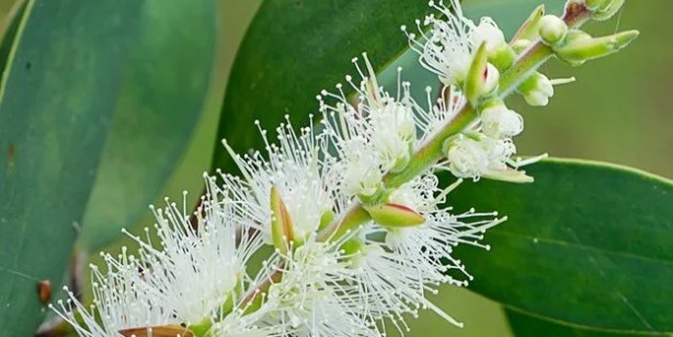 Foto - Evde, duvarlarda küf oluşması nasıl önlenir? Kış aylarında tavanlarda oluşan küf: Hayat kurtaran 3 yöntemler
