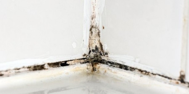 Foto - Evde, duvarlarda küf oluşması nasıl önlenir? Kış aylarında tavanlarda oluşan küf: Hayat kurtaran 3 yöntemler