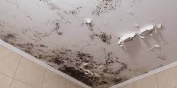 Foto - Evde, duvarlarda küf oluşması nasıl önlenir? Kış aylarında tavanlarda oluşan küf: Hayat kurtaran 3 yöntemler