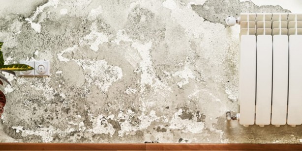 Foto - Evde, duvarlarda küf oluşması nasıl önlenir? Kış aylarında tavanlarda oluşan küf: Hayat kurtaran 3 yöntemler