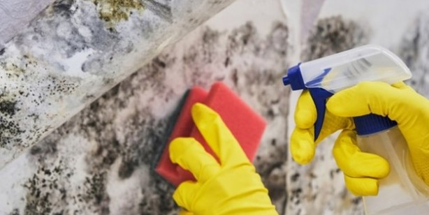 Foto - Evde, duvarlarda küf oluşması nasıl önlenir? Kış aylarında tavanlarda oluşan küf: Hayat kurtaran 3 yöntemler