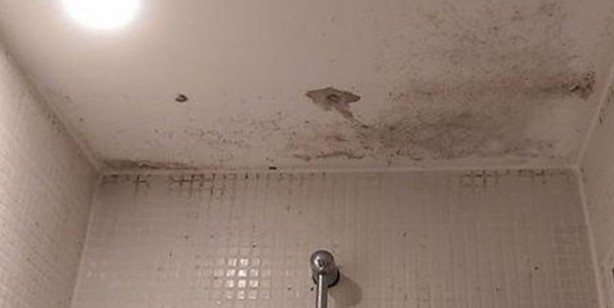 Foto - Evde, duvarlarda küf oluşması nasıl önlenir? Kış aylarında tavanlarda oluşan küf: Hayat kurtaran 3 yöntemler