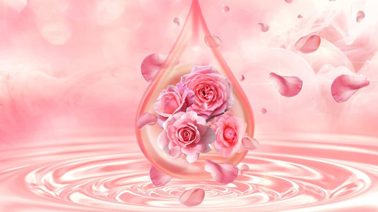 Evde gül suyu yapımı: Bilindiği üzere Türk mutfağının olmazsa olmazı! Cilt yaşlanmasını önleme...