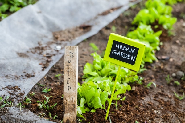 Foto - Evde tasarruf yapmanın 10 akıllı yolu