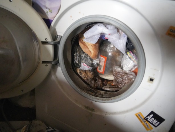 Foto - Evde yok yok! Manzarayı görenler şoke oldu