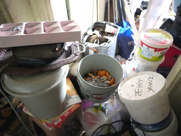 Foto - Evde yok yok! Manzarayı görenler şoke oldu