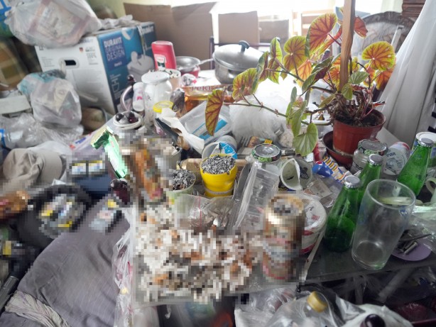 Foto - Evde yok yok! Manzarayı görenler şoke oldu