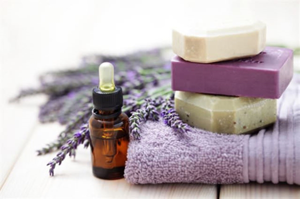 Foto - Evdeki böceklerden kurtulmanın doğal yolları var!