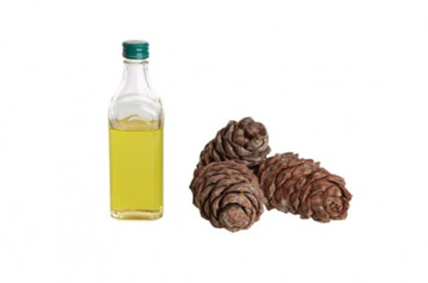 Foto - Evdeki böceklerden kurtulmanın doğal yolları var!