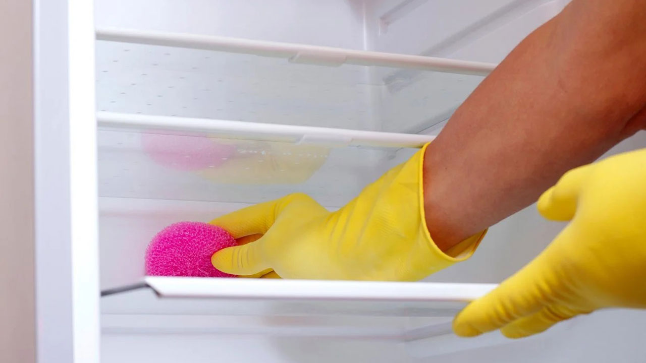 Foto - Evdeki en kirli yer mutfakta! Fark etmeden sağlığınızı tehdit ediyor