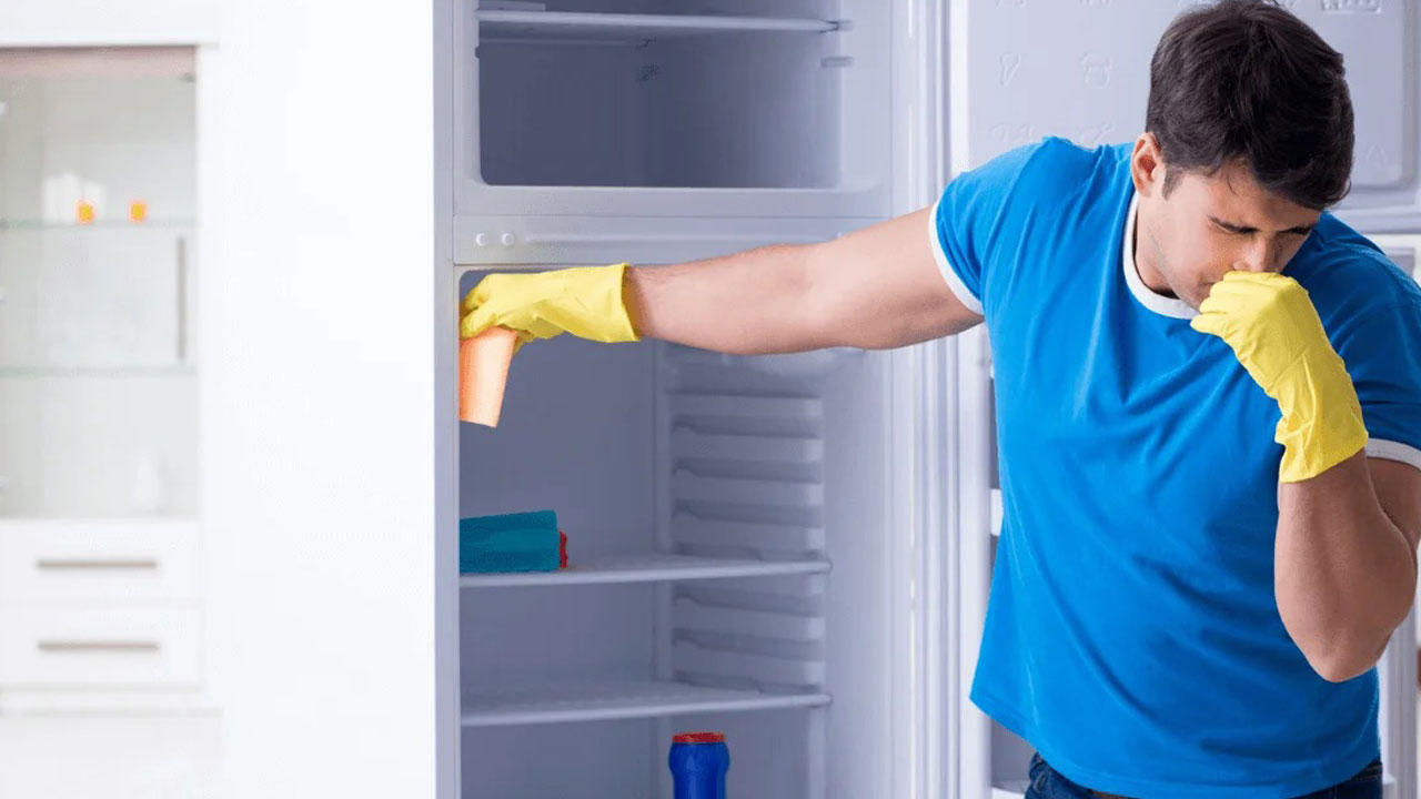 Foto - Evdeki en kirli yer mutfakta! Fark etmeden sağlığınızı tehdit ediyor