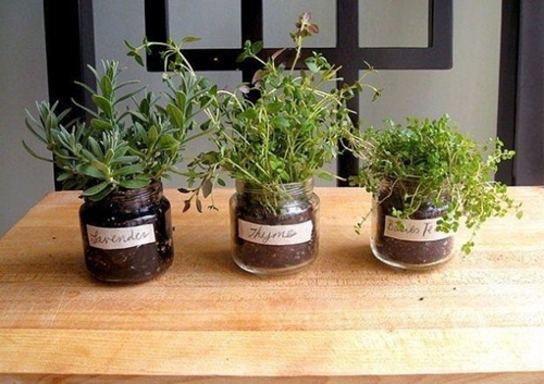 Foto - Evdeki kavanozları sakın çöpe atmayın!