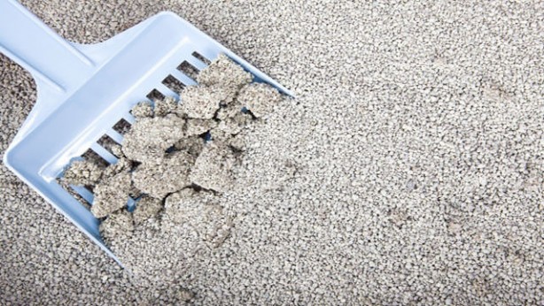 Foto - Evdeki malzemelerle neler yapabileceğinize mutlaka bakın!