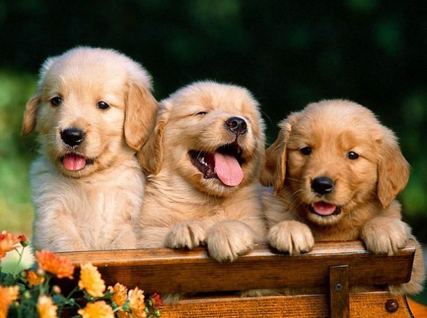 Foto - Evdeki malzemelerle neler yapabileceğinize mutlaka bakın!