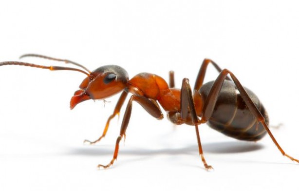 Evdeki malzemelerle neler yapabileceğinize mutlaka bakın!