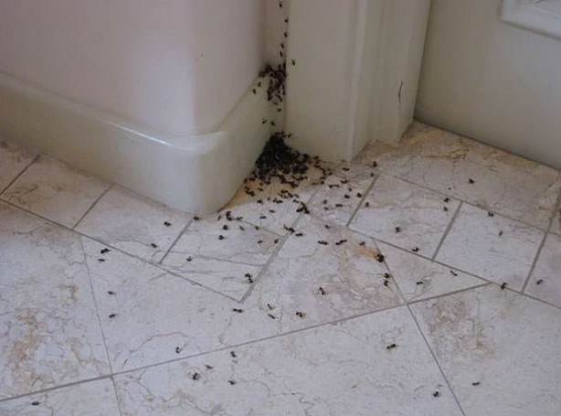 Foto - Evdeki malzemelerle neler yapabileceğinize mutlaka bakın!