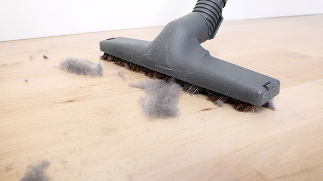 Foto - Evdeki tozun şaşırtan gerçeği! Her temizlikten sonra neden geri geliyor?