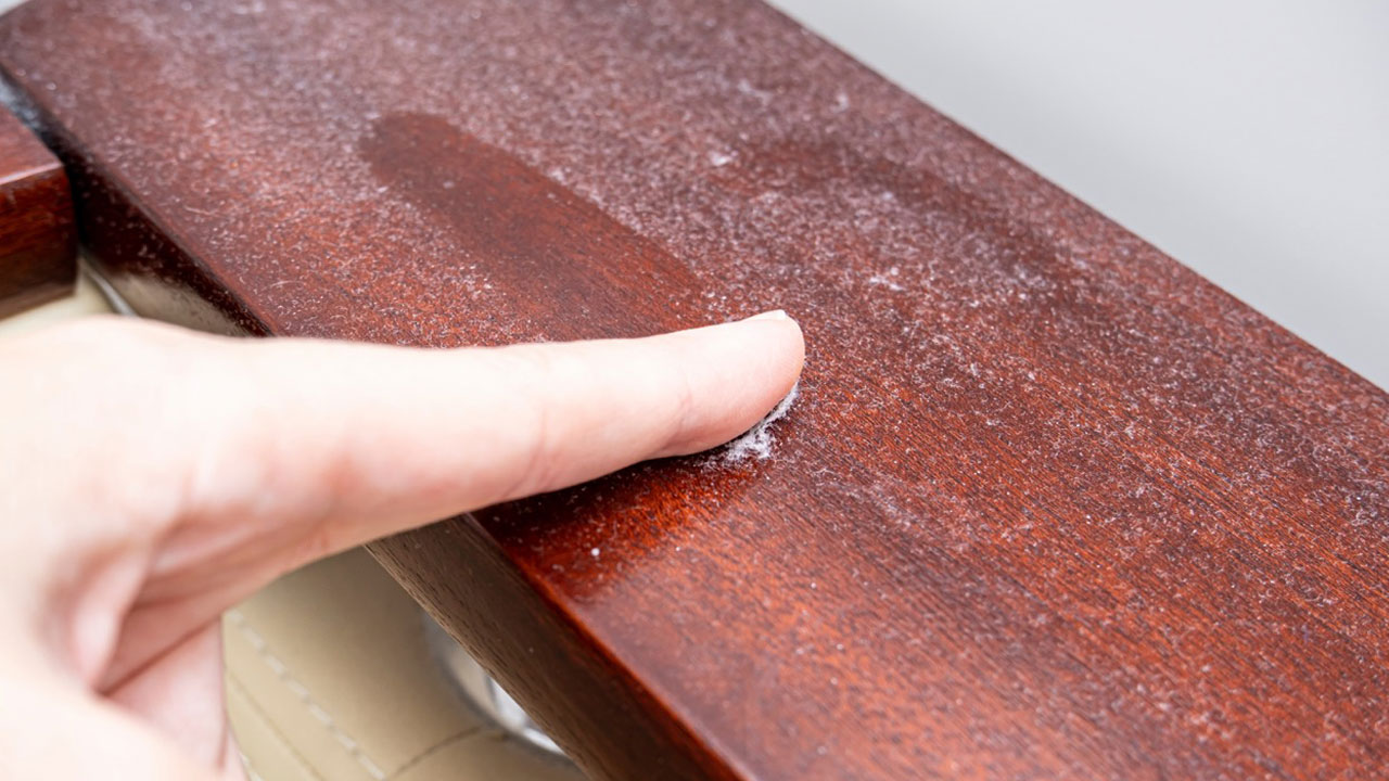 Foto - Evdeki tozun şaşırtan gerçeği! Her temizlikten sonra neden geri geliyor?