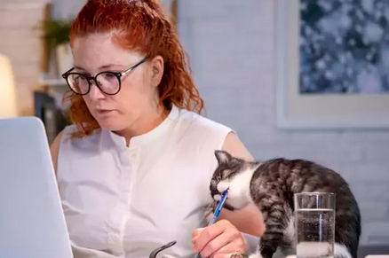 Foto - Evden çalışanlara uzman isimden kritik uyarıl! Duyan, kulaklarına inanamadı! Vay vay vay