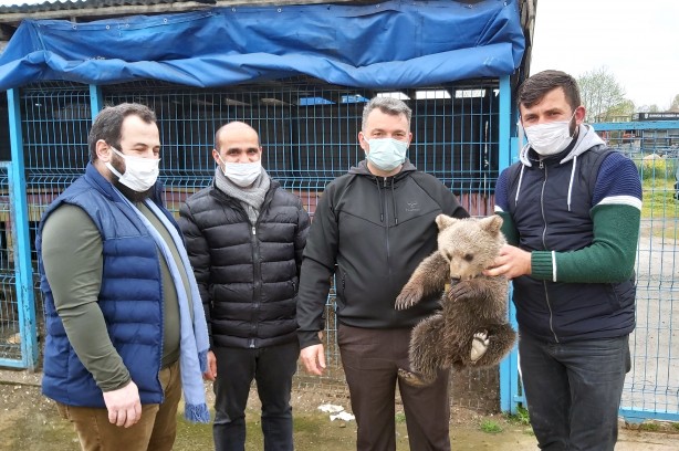 Foto - Eve giren yavru ayı şok etti! Ekipler...