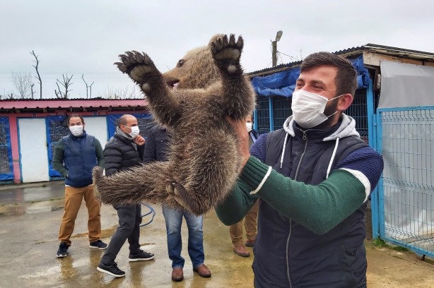 Foto - Eve giren yavru ayı şok etti! Ekipler...